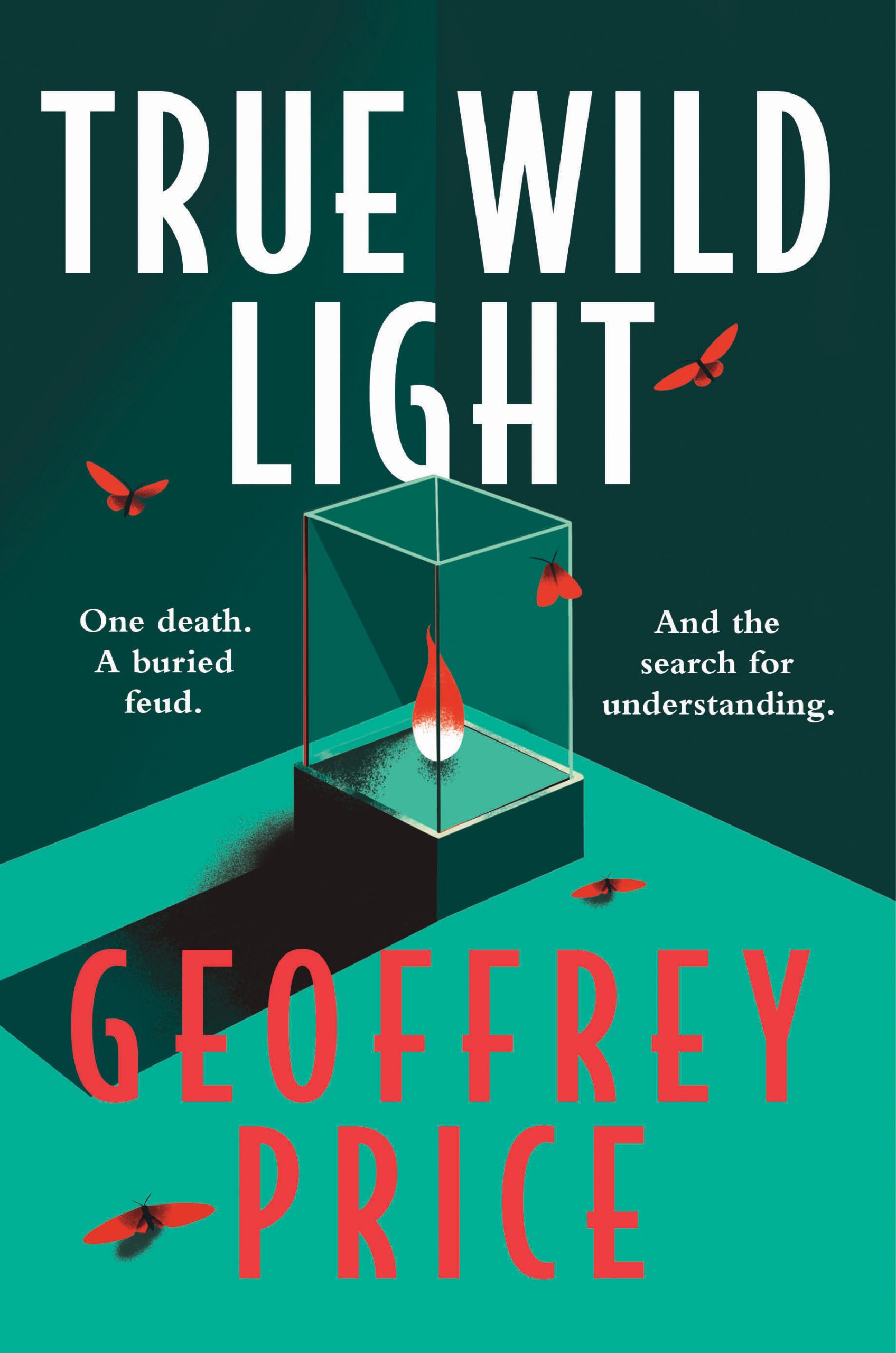 Front cover of Geoffrey Price's novel True Wild Light Front cover of Geoffrey Price's novel True Wild Light