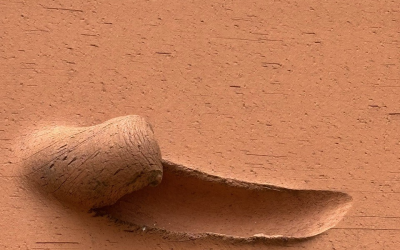 The Unconscious Equation: Why Your Life Is Not in the Stars