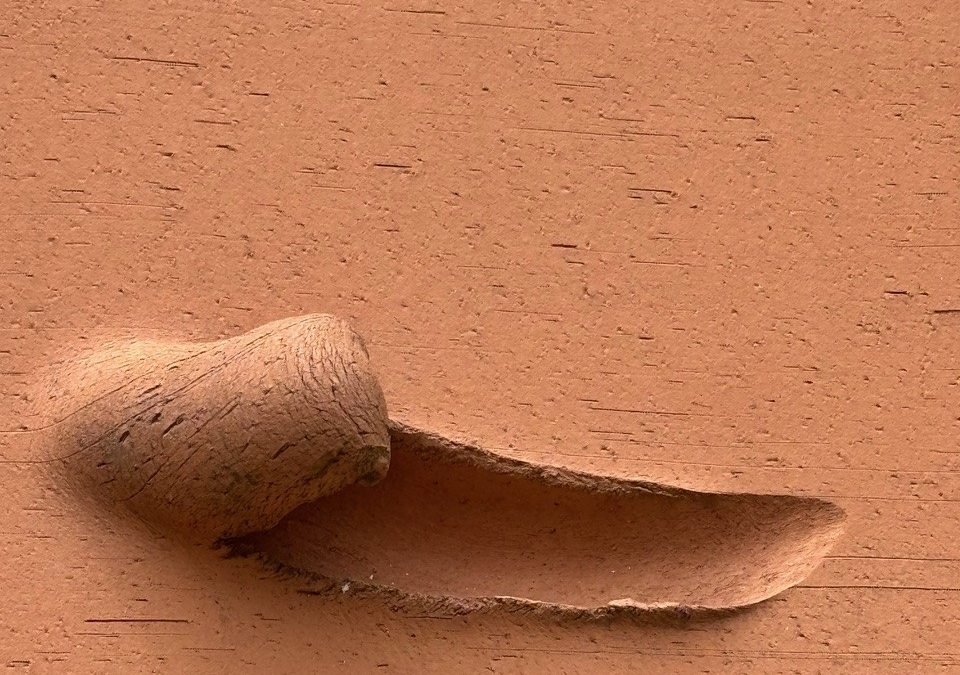 The Unconscious Equation: Why Your Life Is Not in the Stars