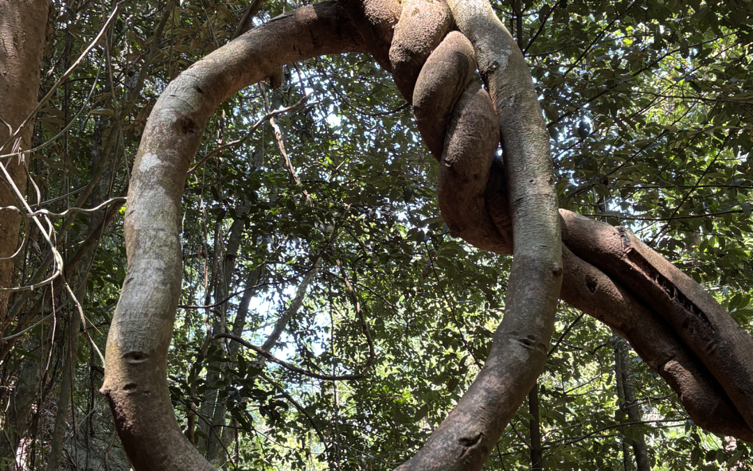 The Iceberg and the Scripted Role: What Really Drives You